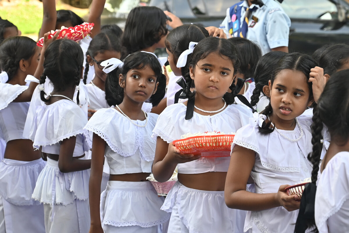 Шри-Ланка. Атмосфера. - Александр Беляков