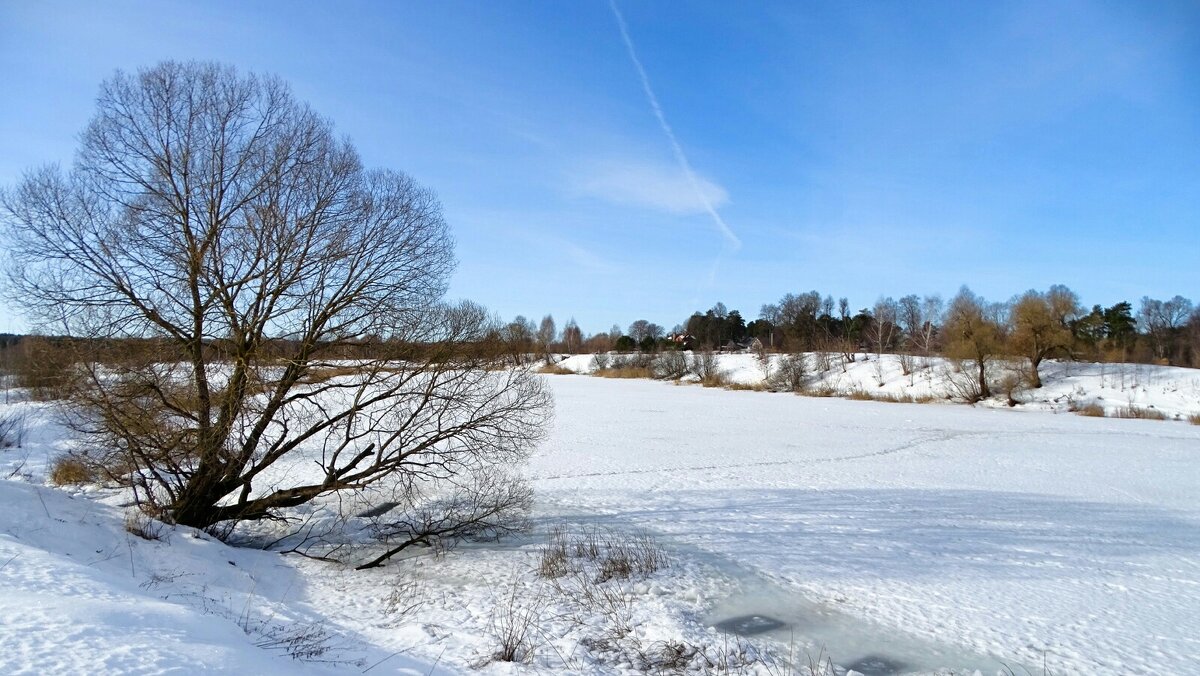 Весна - Милешкин Владимир Алексеевич 