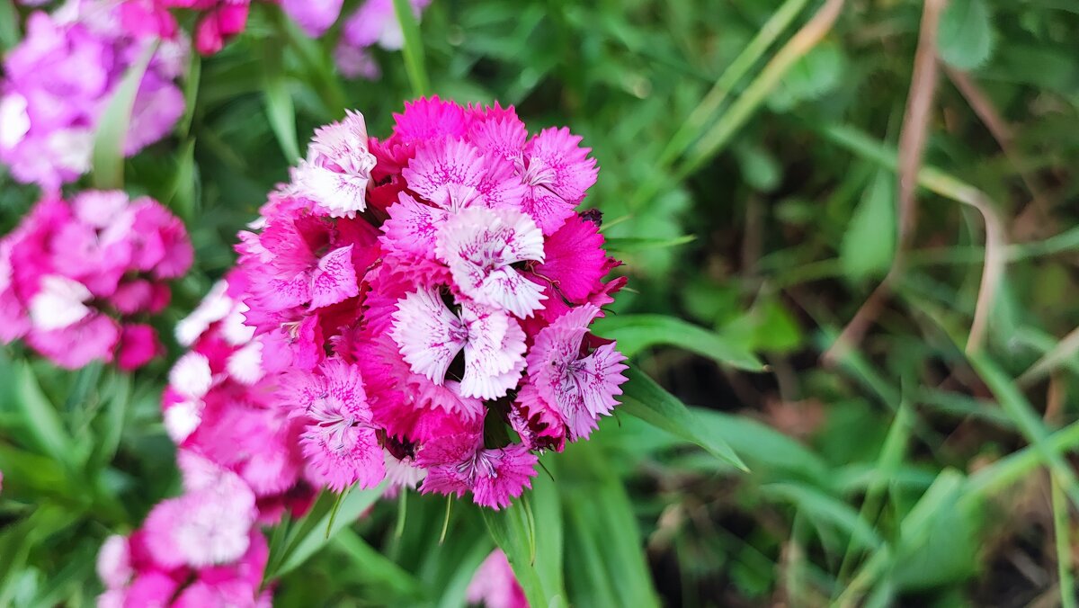 ,,, - Сергей Тимоновский