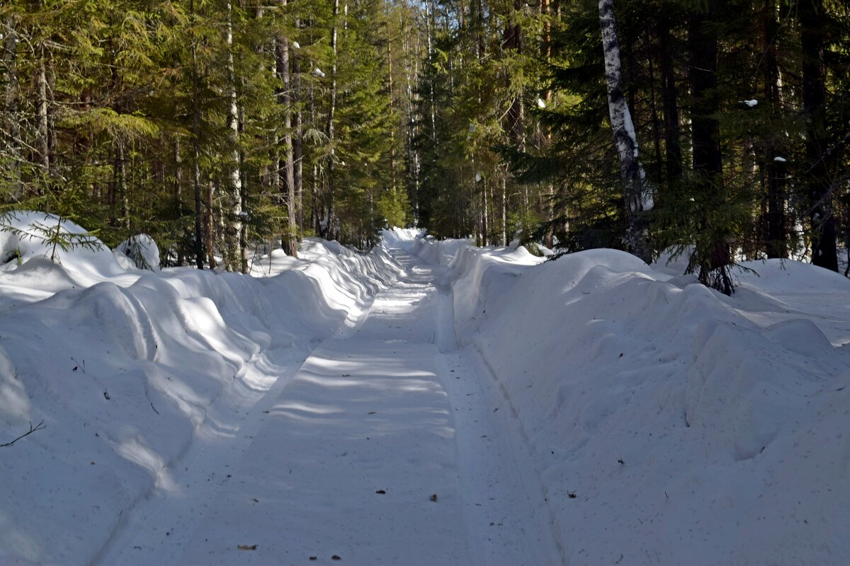 Лесная дорога. - ВикТор Быстров