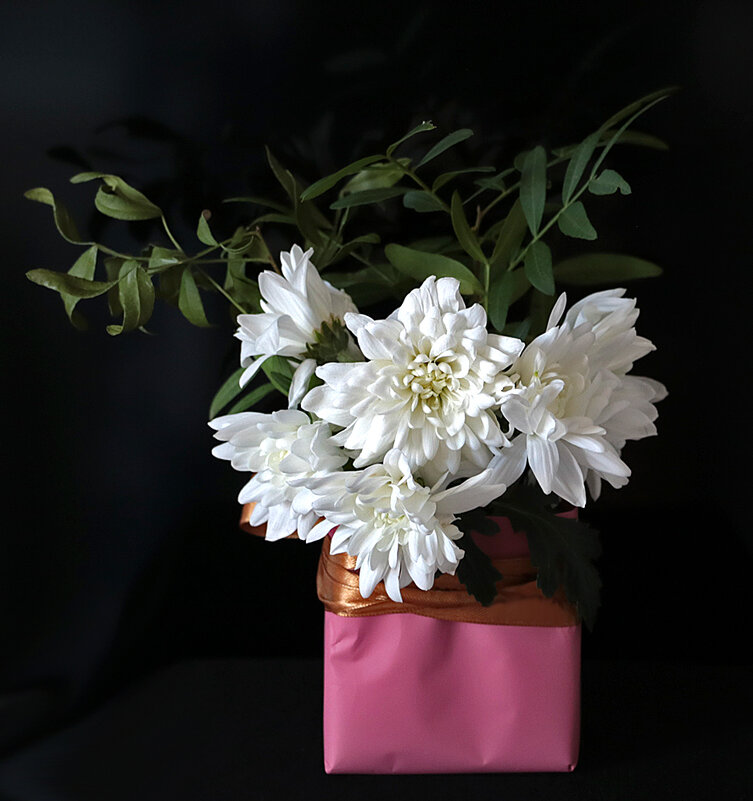 *** - Светлана 