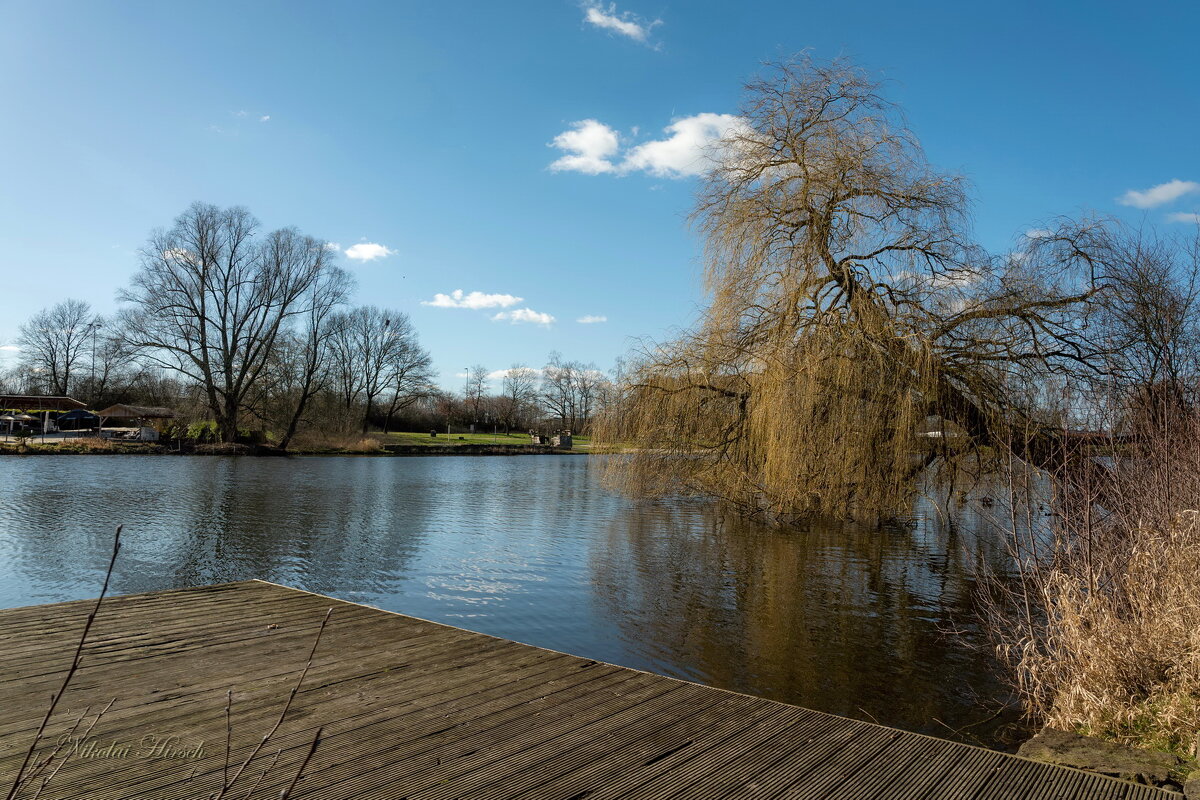 В преддверии весны... - Николай Гирш