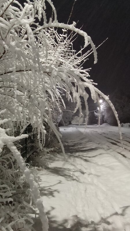 Такая весна. - Predator Z