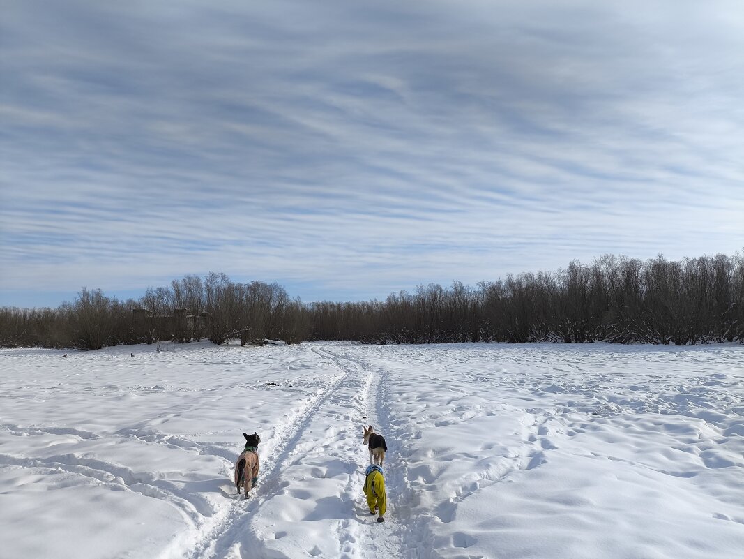 Весна - Anna Ivanova