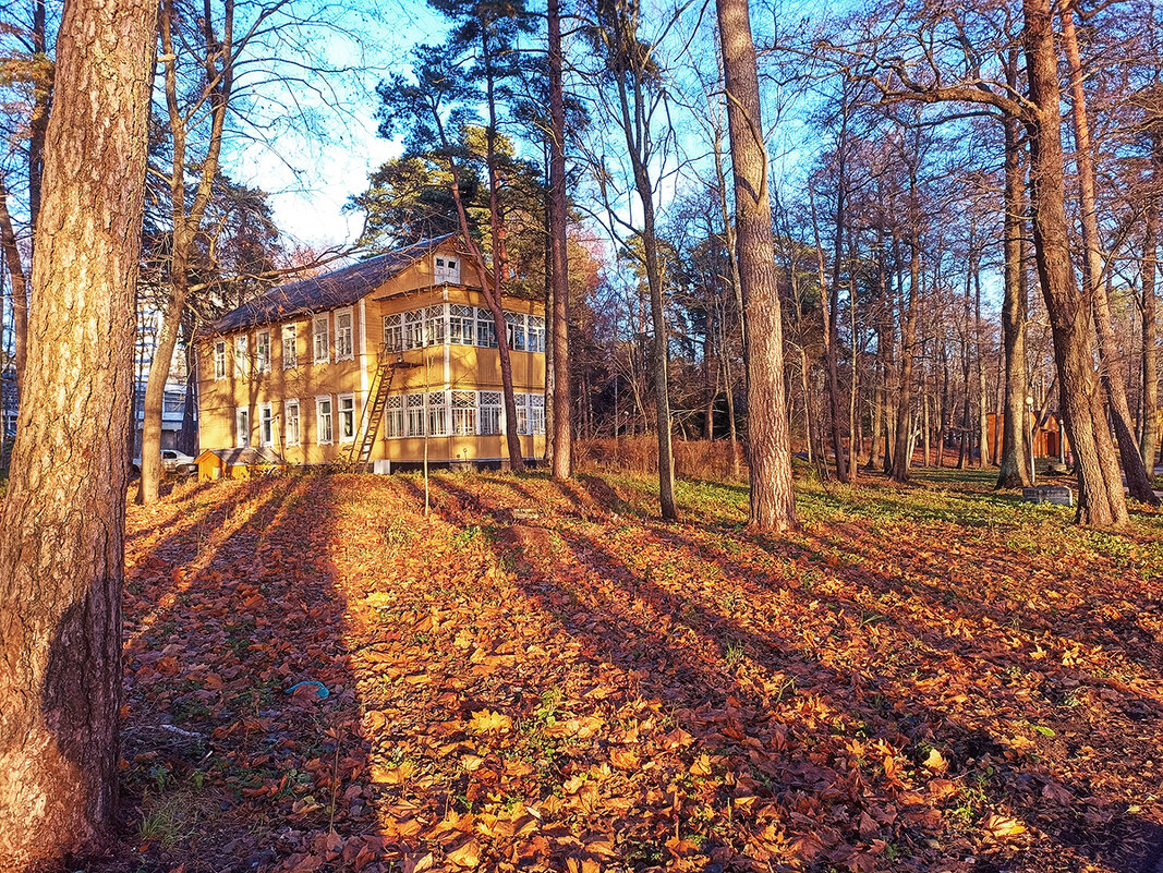 Бывший административный корпус санатория "Северная Ривьера". - Лилия *