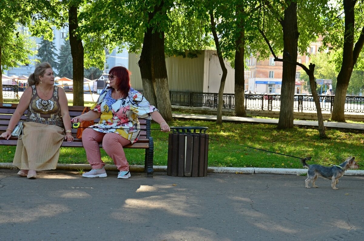 В тени деревьев. - Михаил Курзанцев