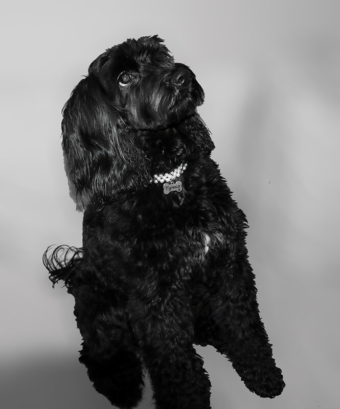 Что там?.. - Светлана 