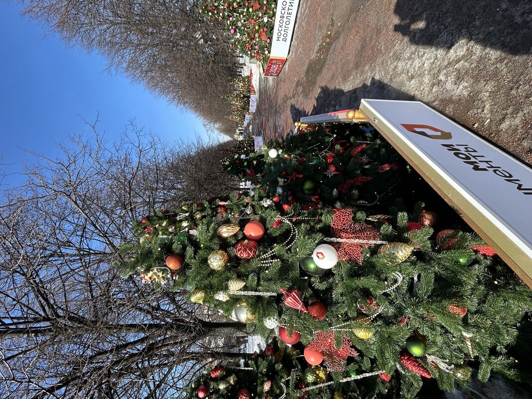 10 марта в Москве еще елки - Натали 