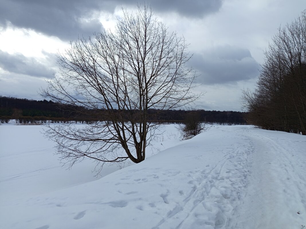 Начало марта в Измайловском парке - Андрей Лукьянов