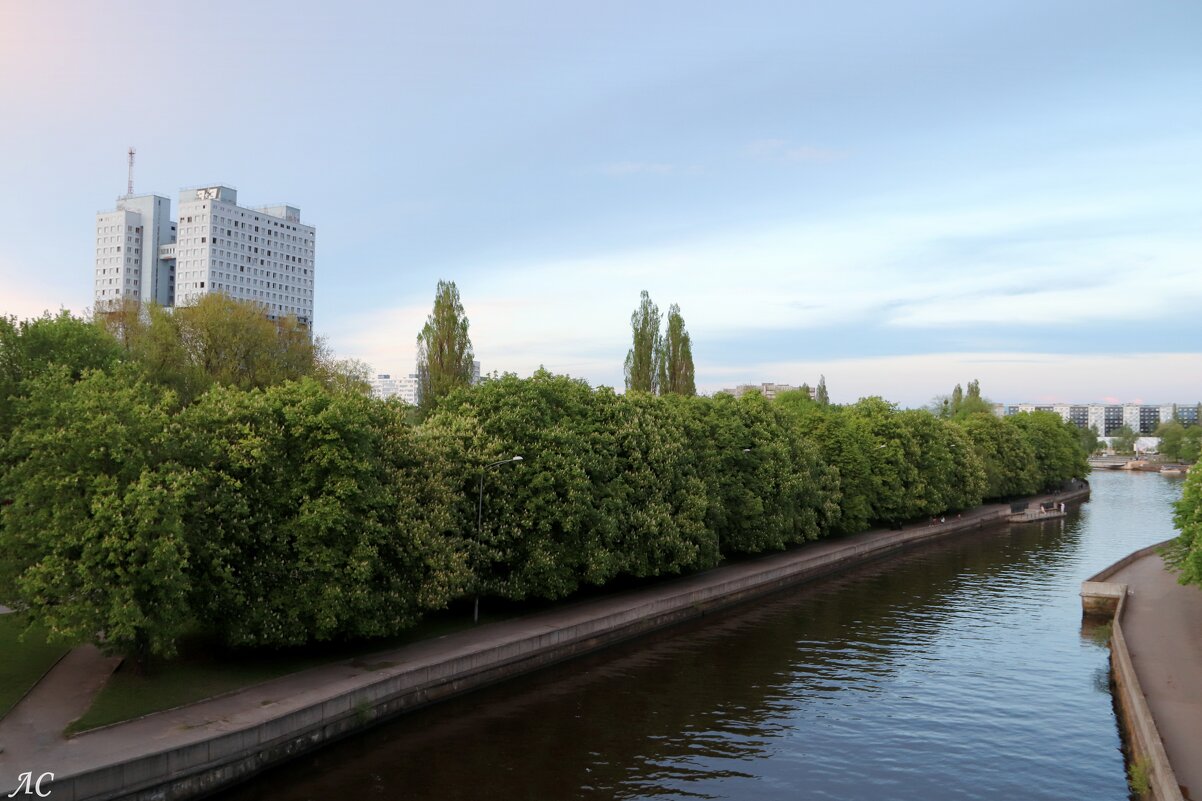 Калининград - Любовь Сахарова