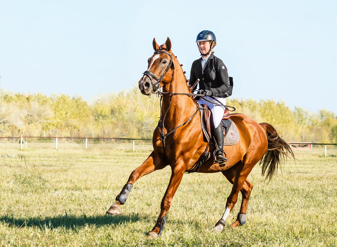 Конкур - SanSan 