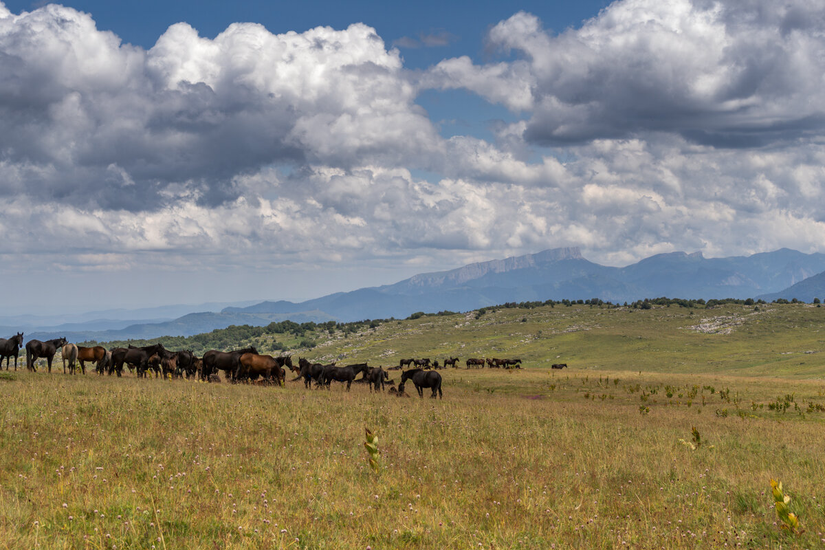 Плато Лаго-Наки - Игорь Сикорский