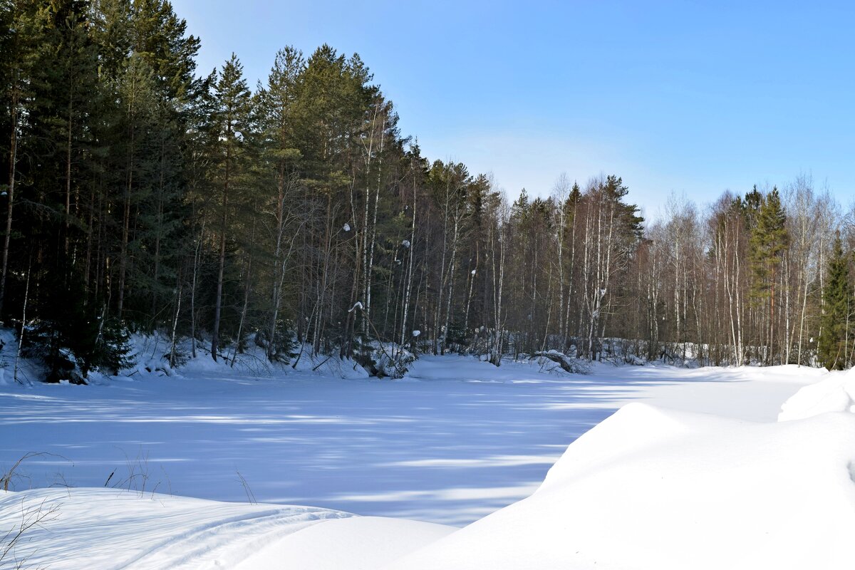 Прудик под снегом. - ВикТор Быстров