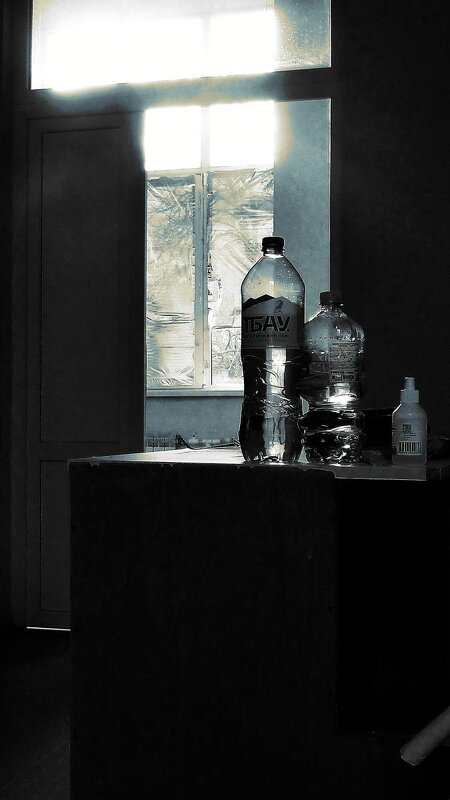 в палатах - Николай Семёнов