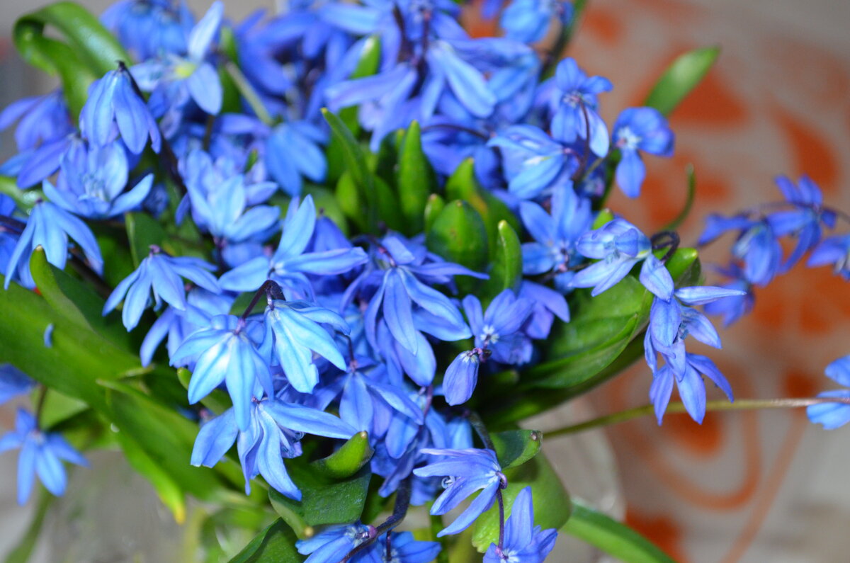 ,,, - Сергей Тимоновский