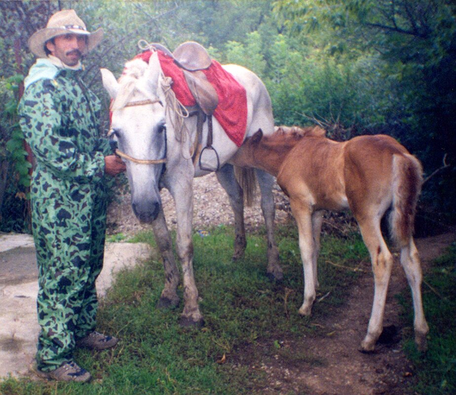 Кушать хочется! - Татьяна Иваненкова