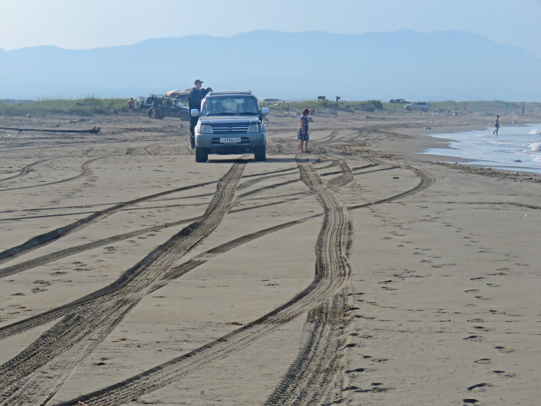 Рыбнадзор на пляже - ИРЭН@ .