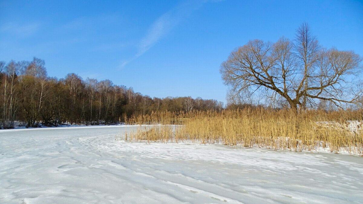 Весна - Милешкин Владимир Алексеевич 