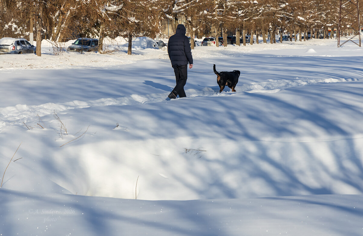 Прогулка с собакой - Александр Синдерёв