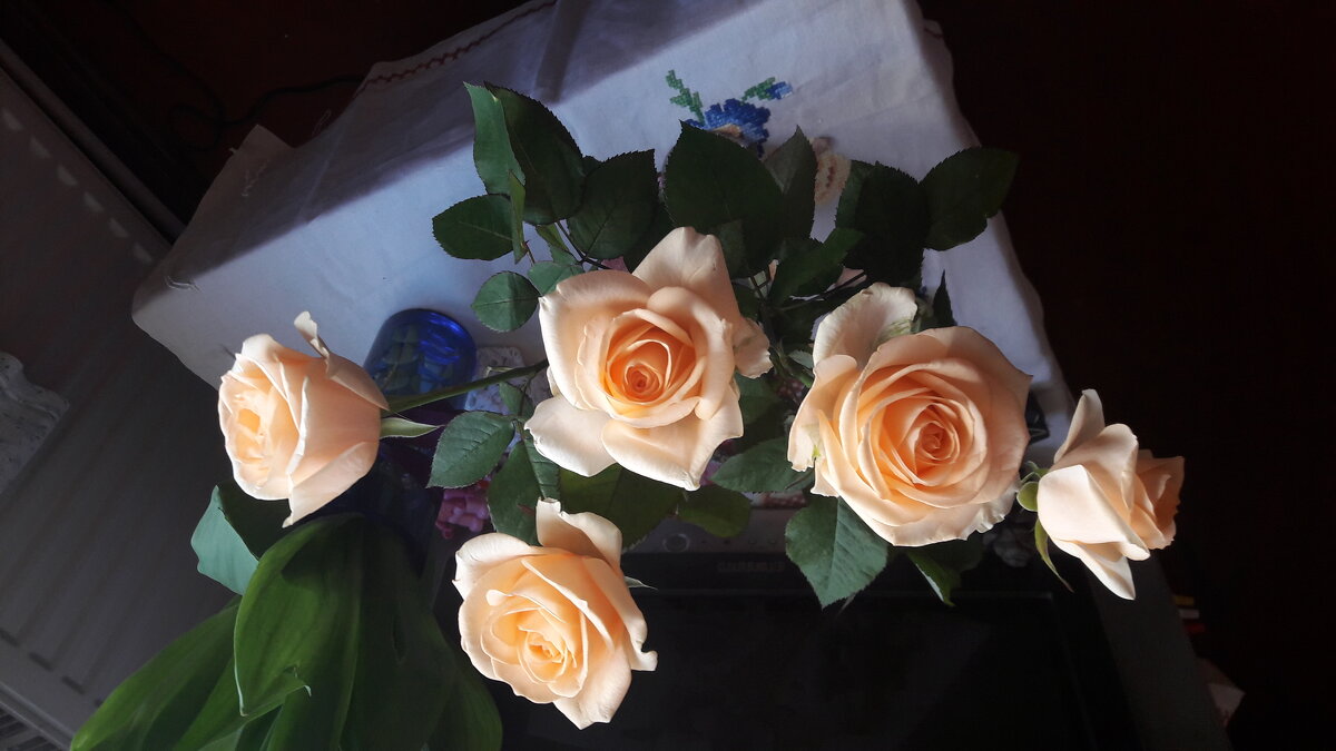 Нежность! - Варвара 