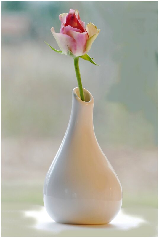 СЮРПРИЗ... - Elvira E. 