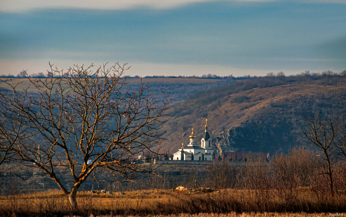 Ранним утром... - Светлана Фокша