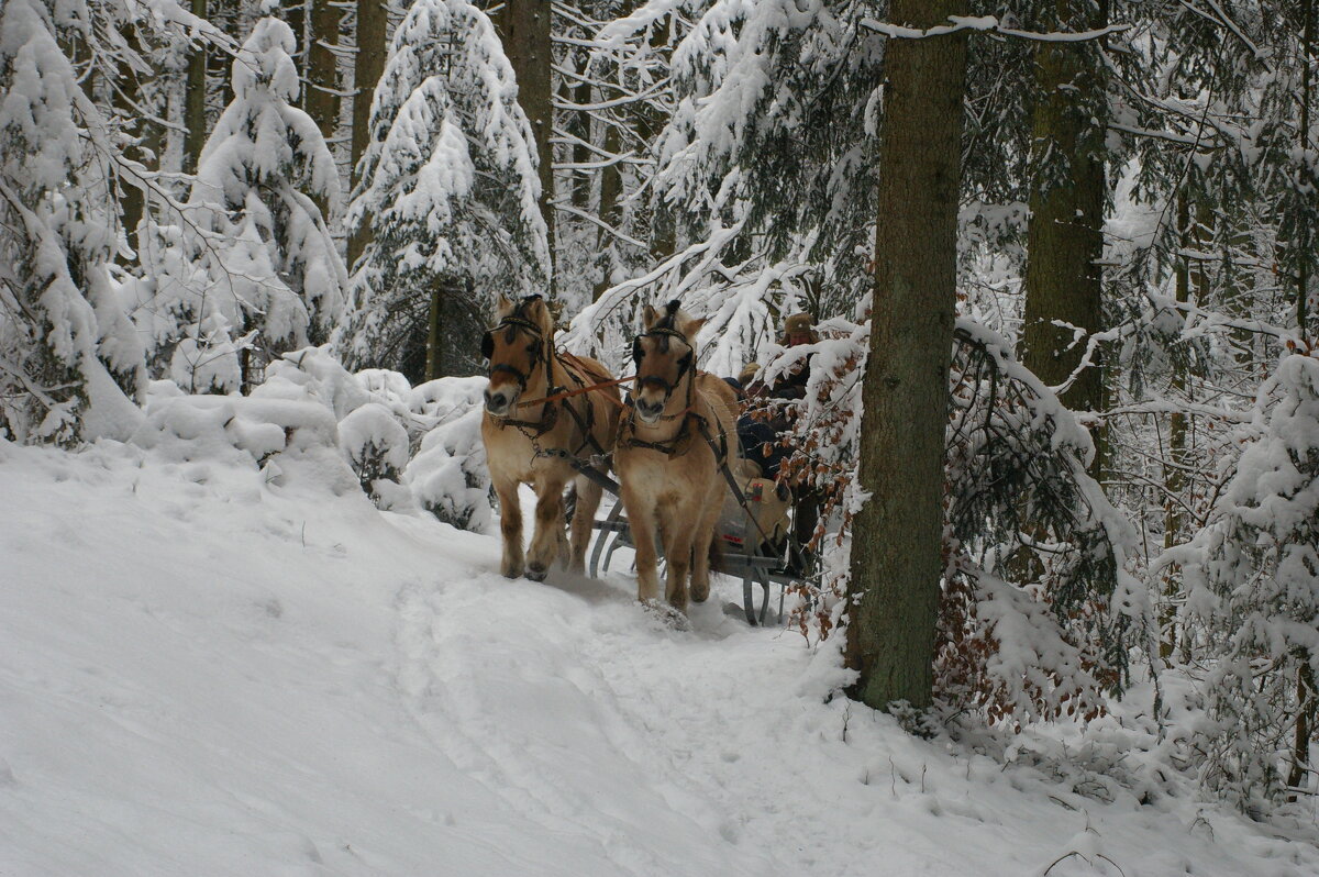 "Однажды в студёную зимнюю пору" - Ирэн 