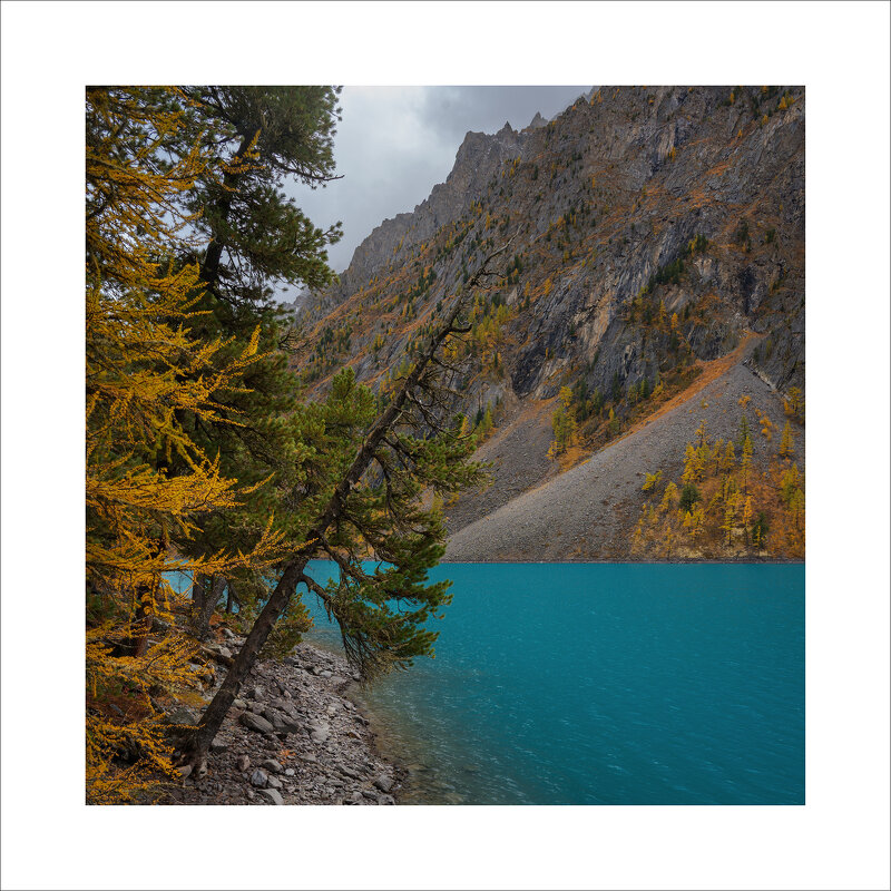 * - Александр Иванов