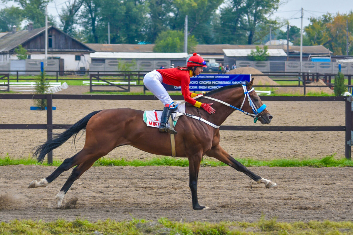 Вместе п победе. - юрий Амосов