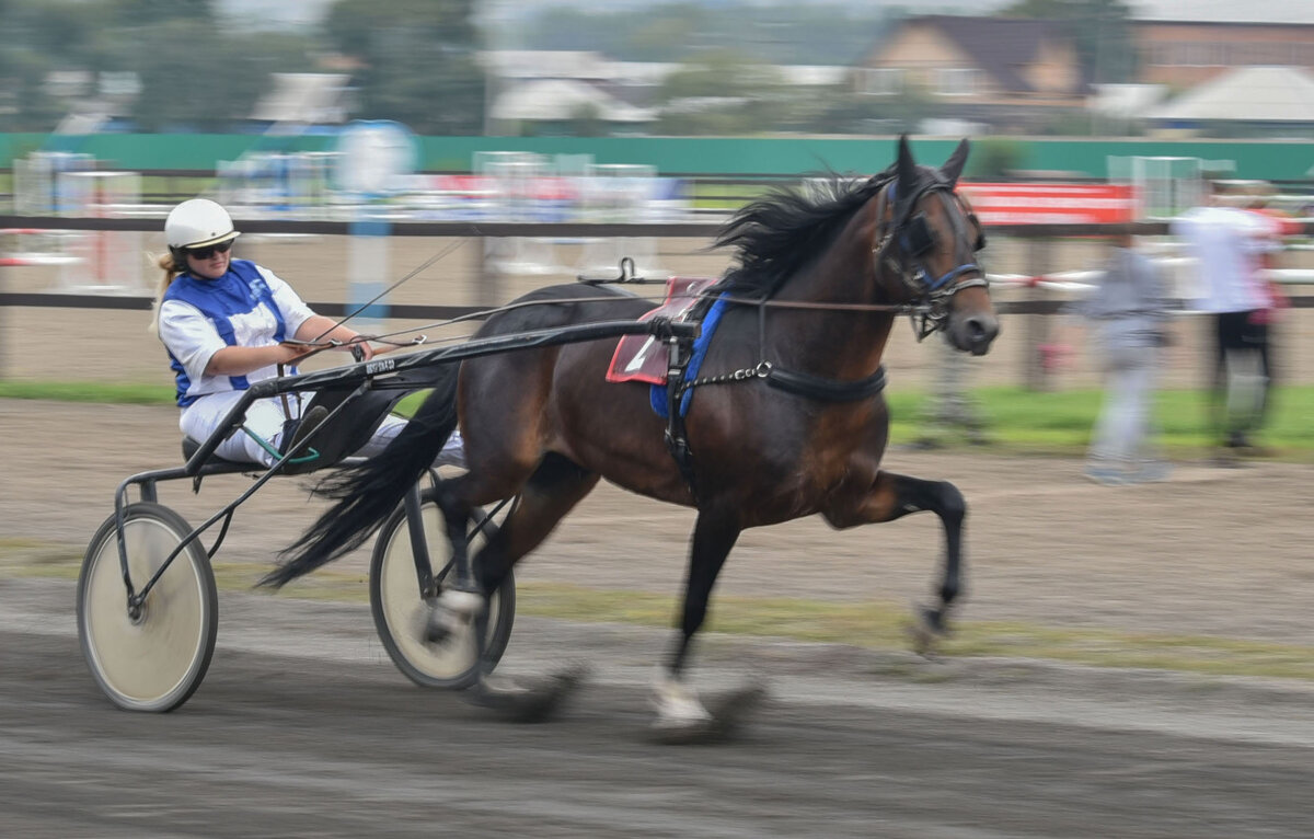 К финишу. - юрий Амосов