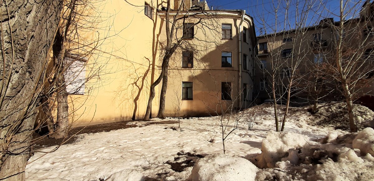 Весна в Питере - Наталья Герасимова