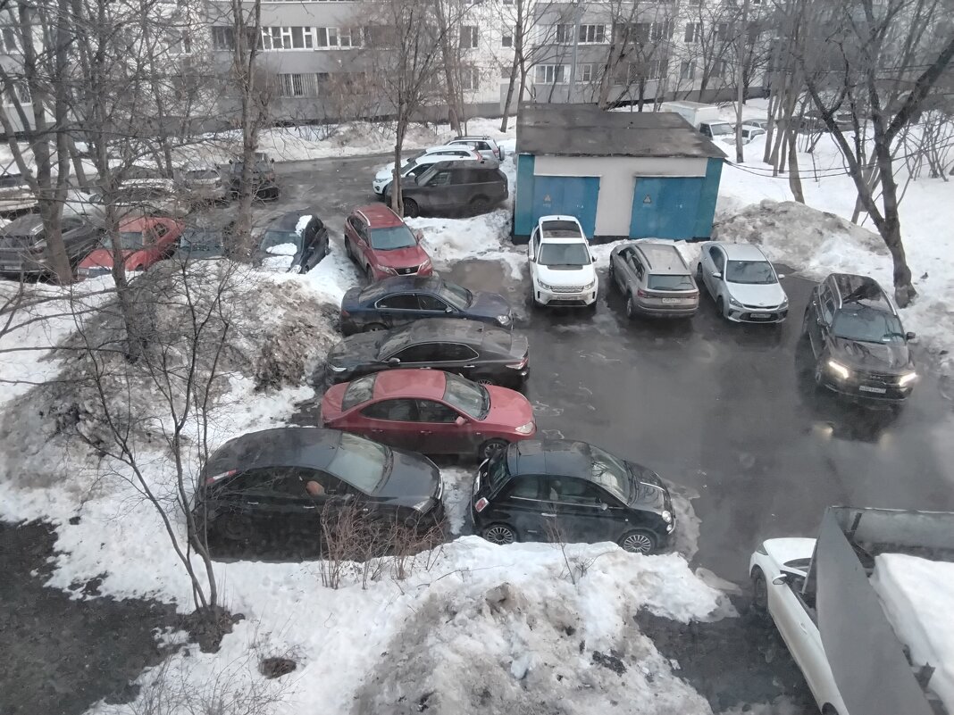 Стоянка во дворе - Дмитрий Никитин