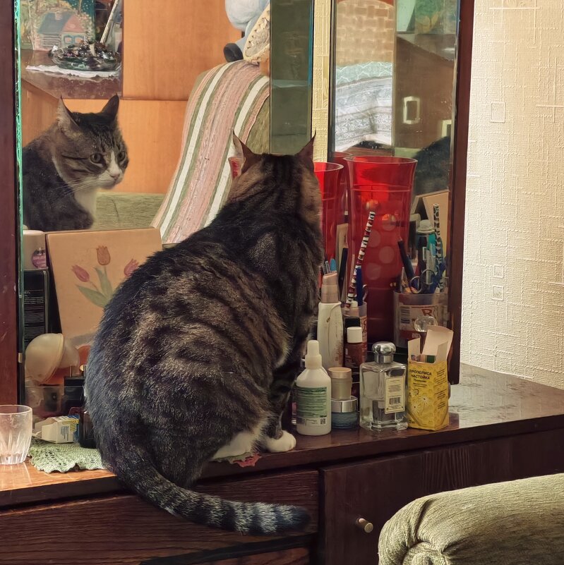 любимое занятие МАЛЫША - Любовь 