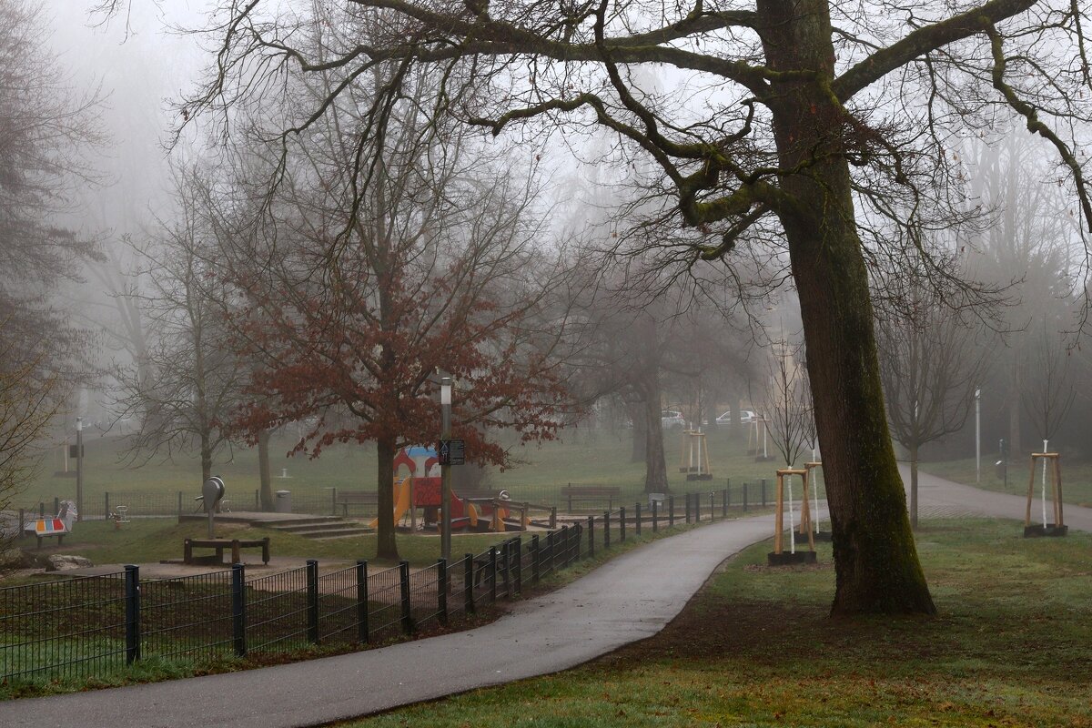Бродит в парке туман - Юрий. Шмаков