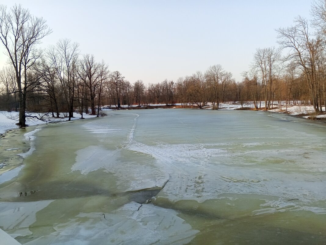 Весна - Сапсан 