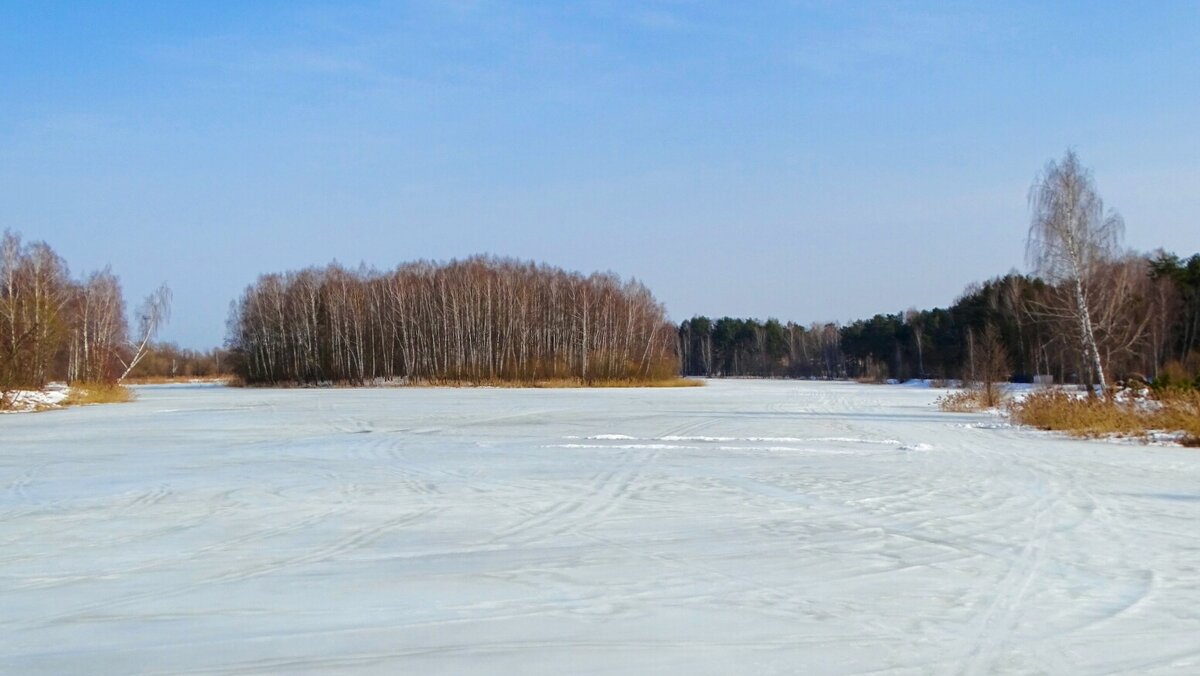 Весна на Смоленщине. - Милешкин Владимир Алексеевич 