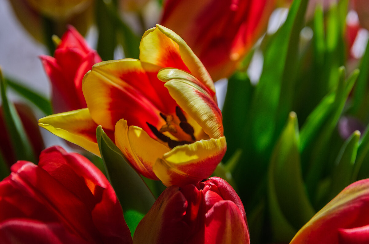 *** - Виктор Иванович Чернюк