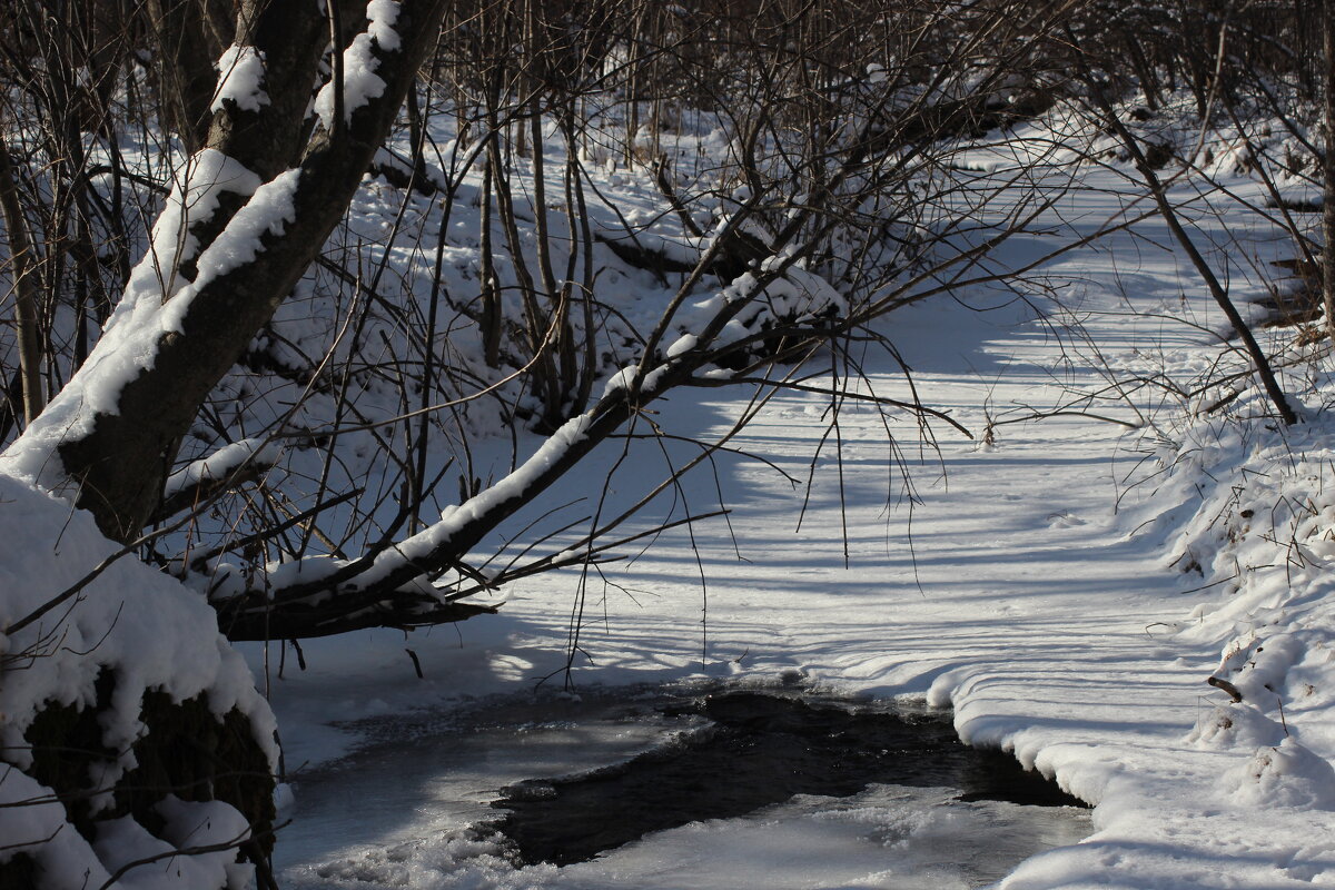 зима - Наталья Штанулина