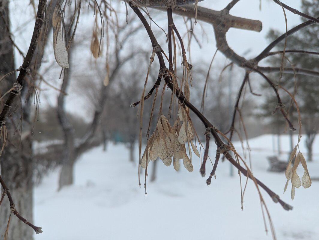 На ветру... - Андрей Хлопонин