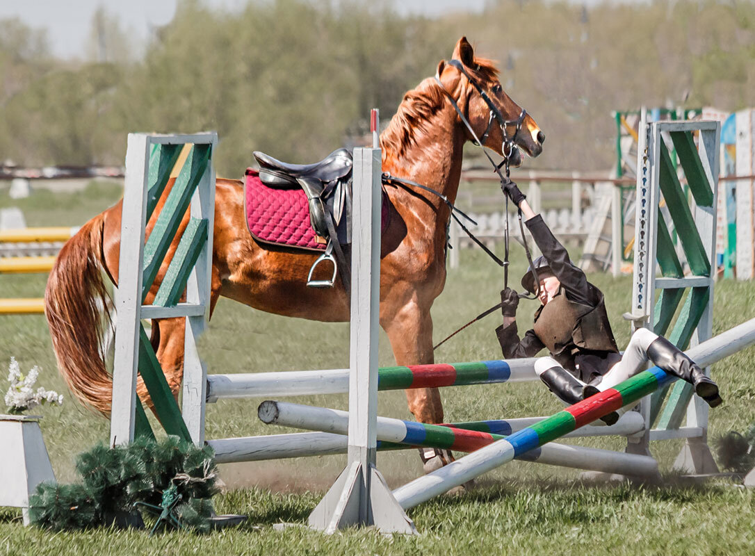 Конкур - SanSan 