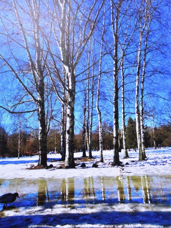 Тает снег - Людмила Смородинская