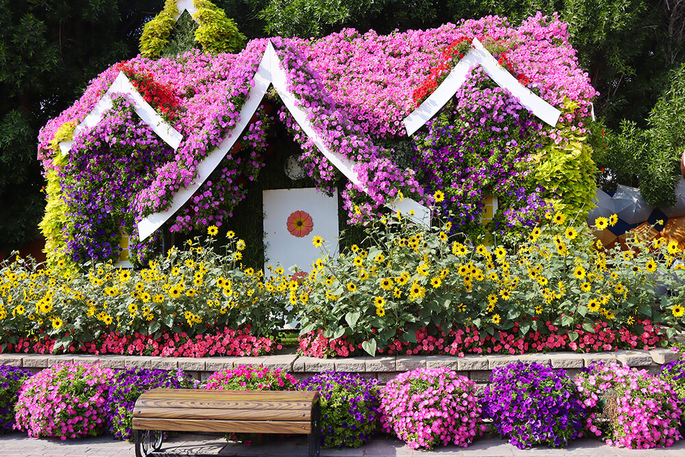 Интерьер парка цветов - Галина Ильясова