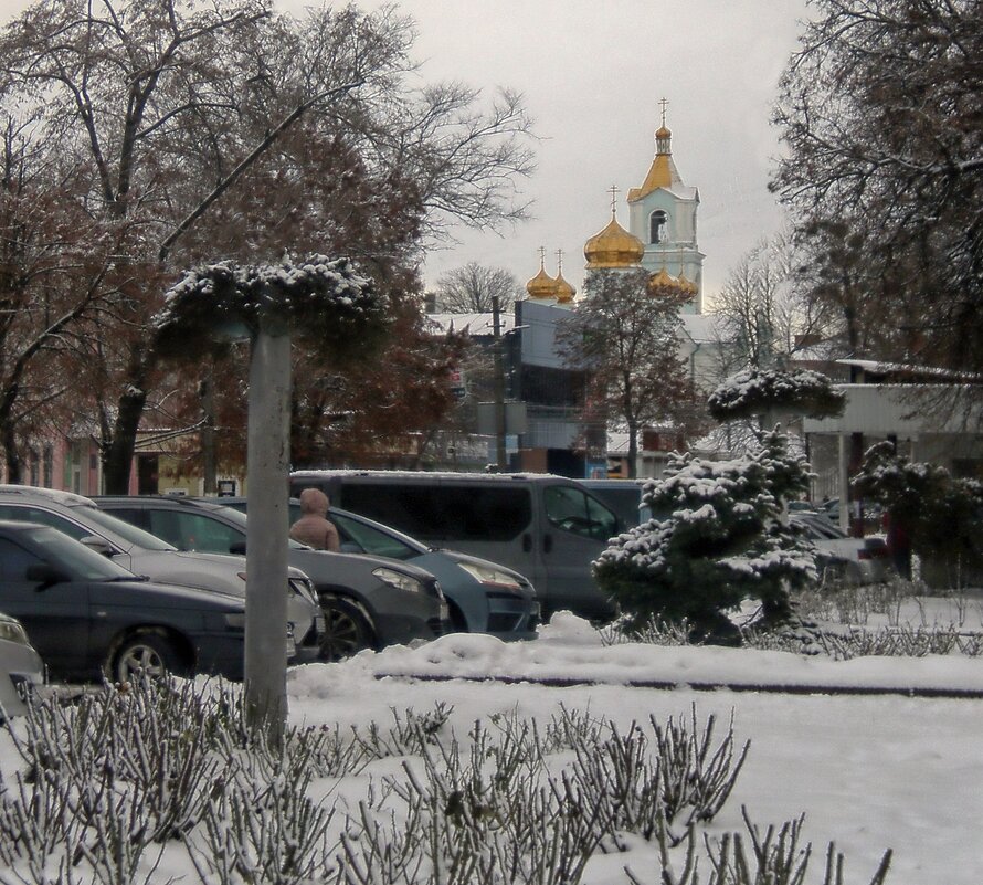 Зимний день - Роман Савоцкий