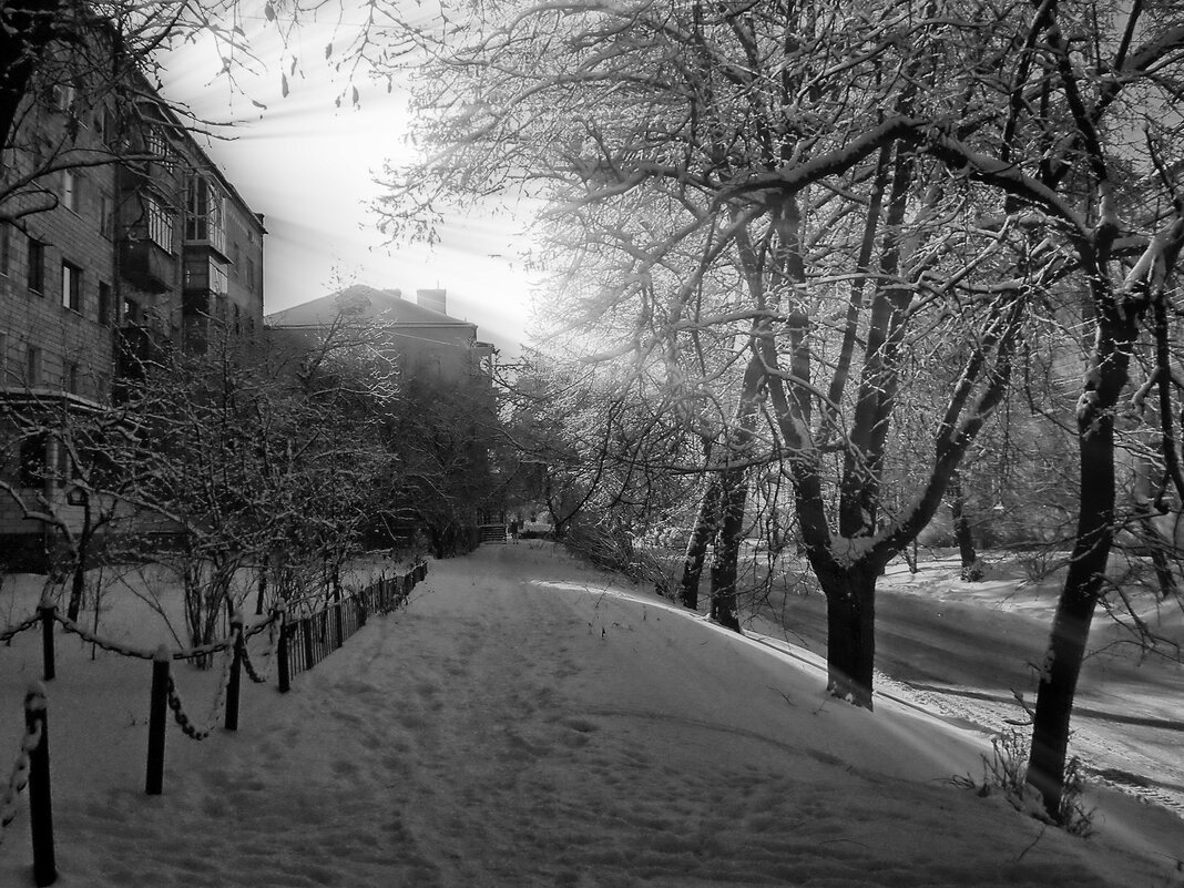 Зимний день - Роман Савоцкий