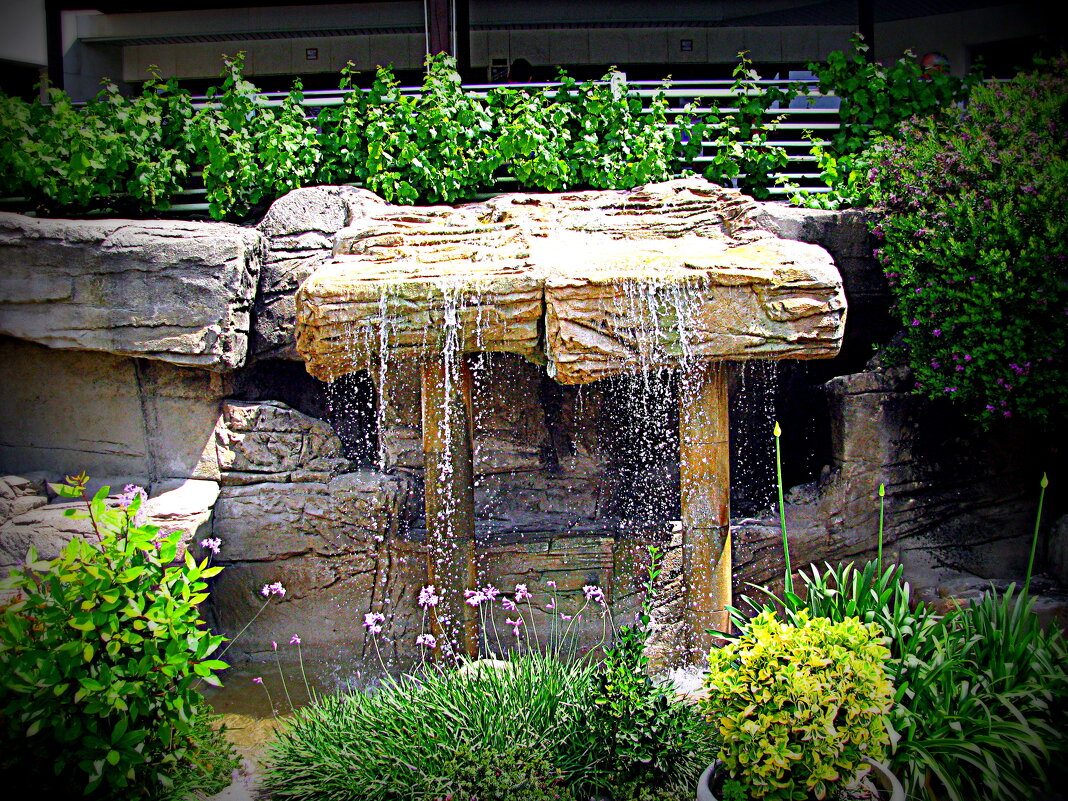 Барселона. - Владимир Драгунский