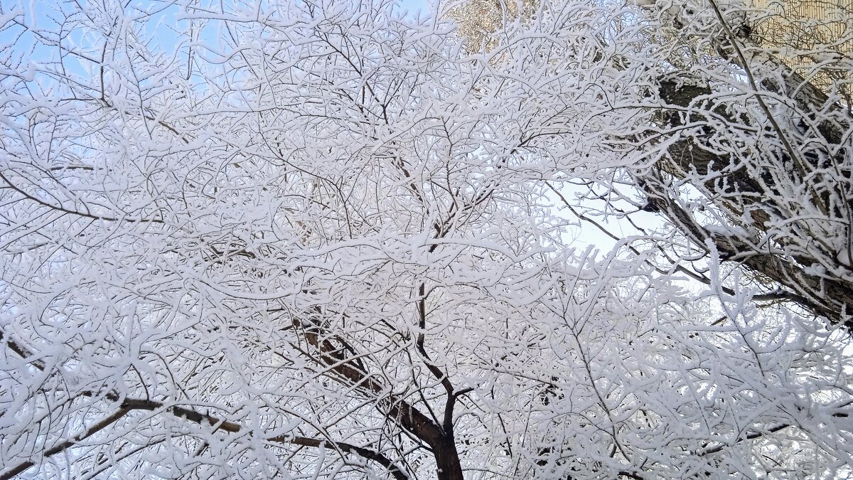 март - Елена Шаламова