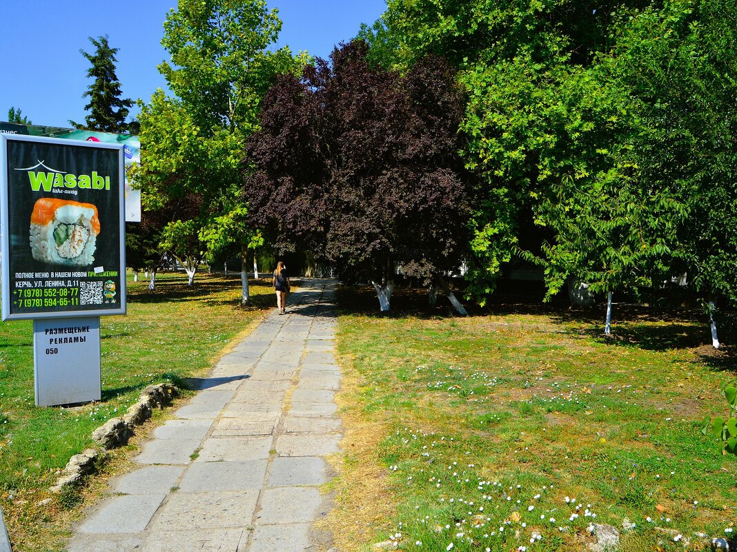 Керчь. Аллея сквера "Крымэнерго" летом. - Пётр Чернега