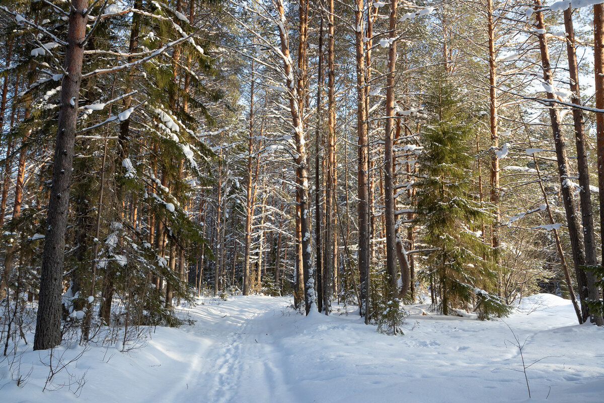 Окрестности Красноборска. - Андрей Дурапов