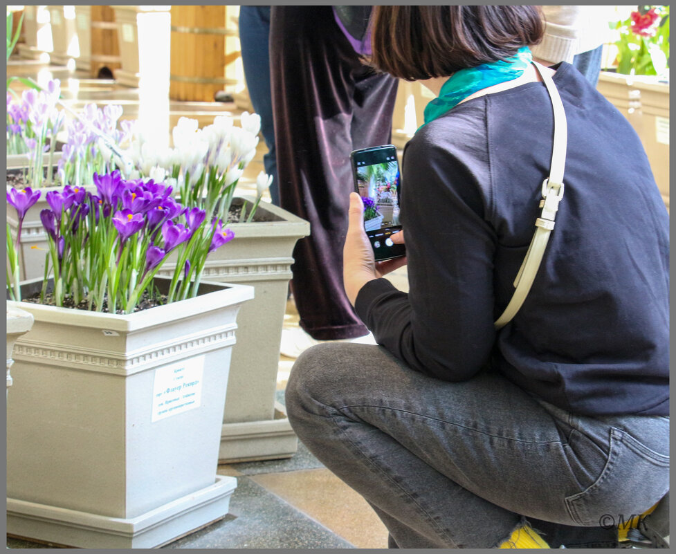 Цветы - Михаил Кобзев