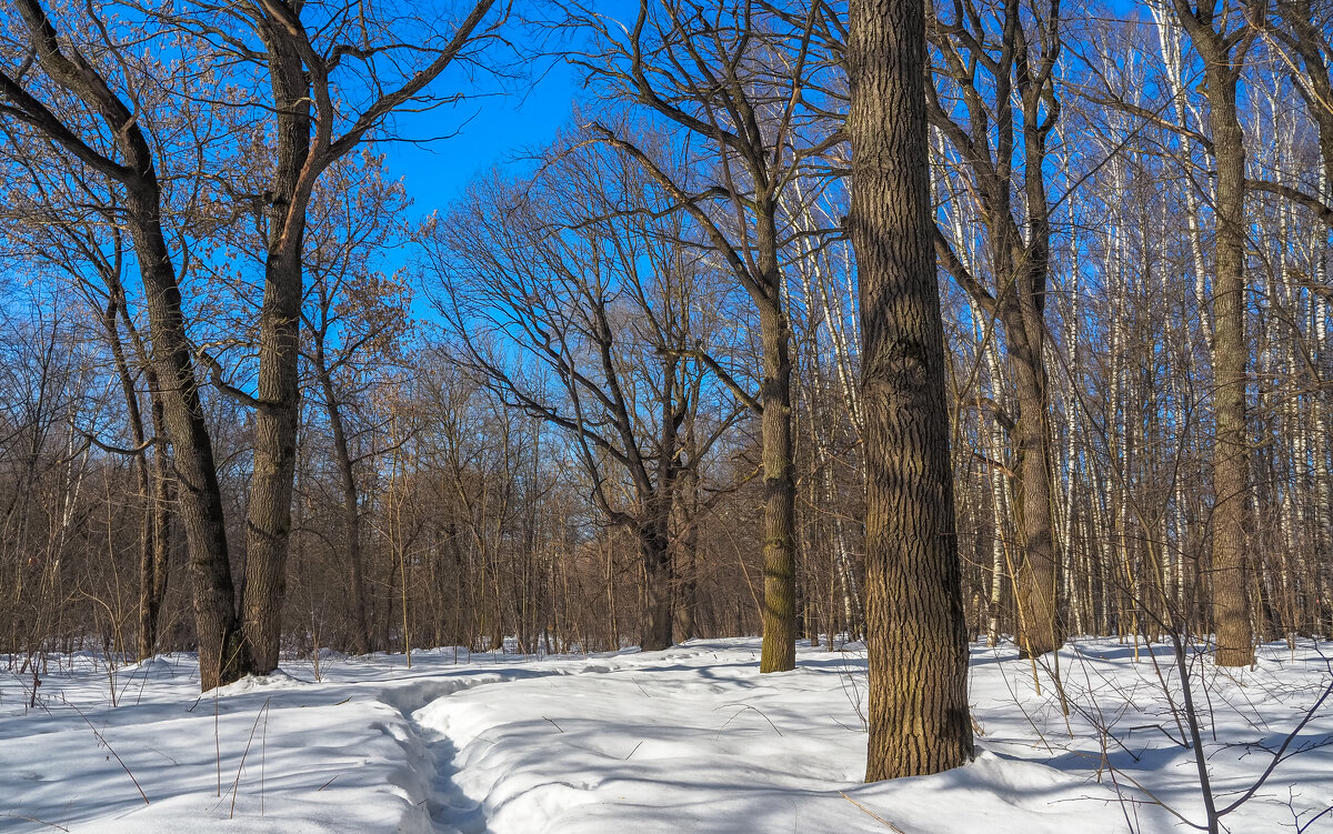 Весенние - юрий поляков